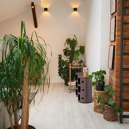 Apartman Premium Design Loft - Old Town Kassa
