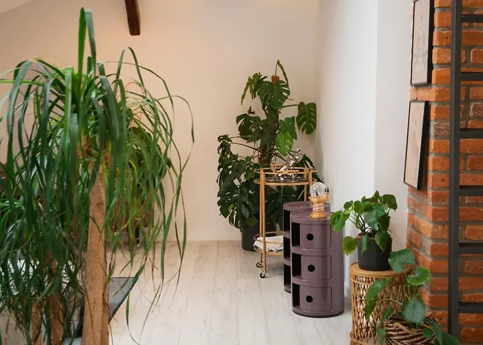 Appartement Premium Design Loft - Old Town Košice